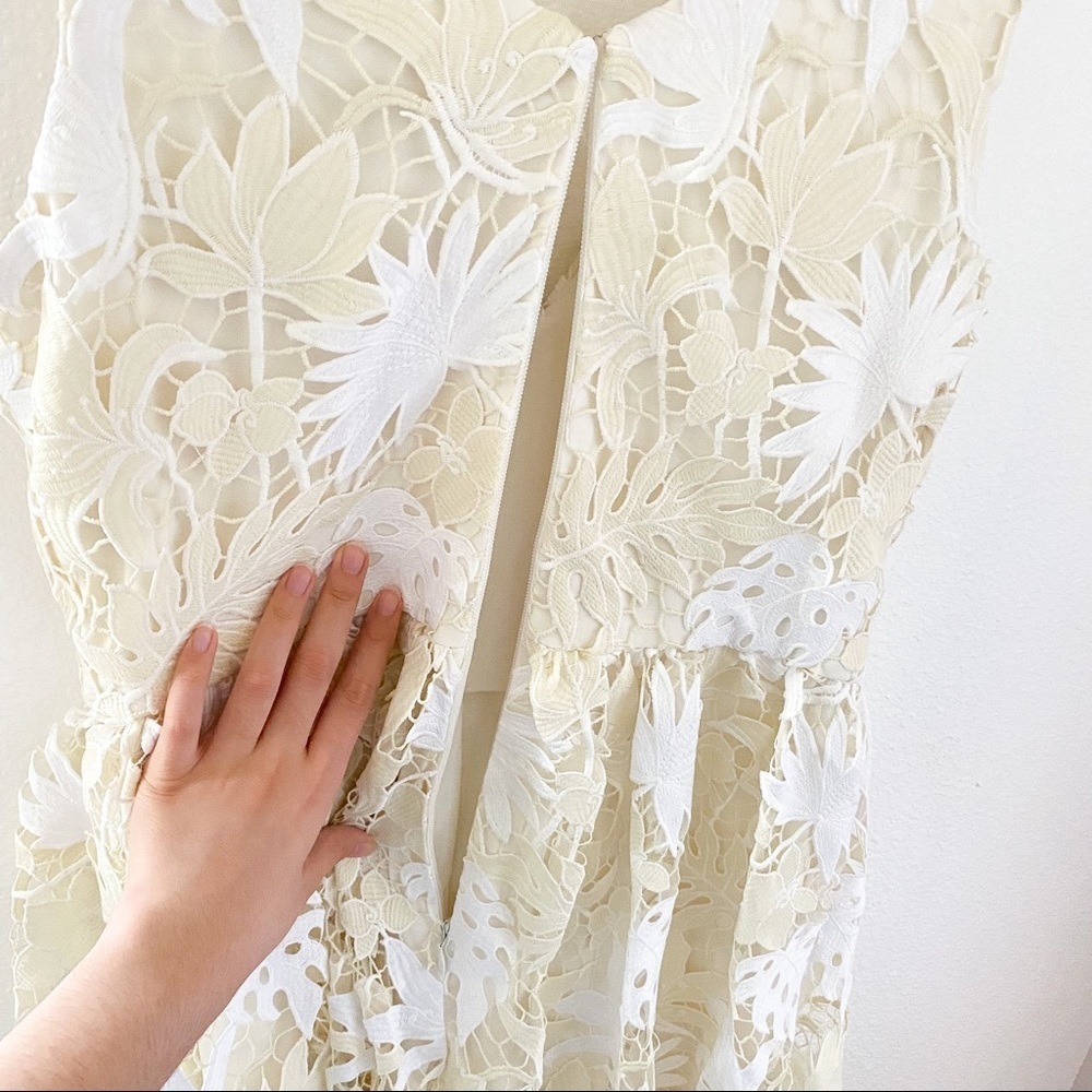 Dress the Population White and Cream Lace Midi Dress - Picture 7 of 8